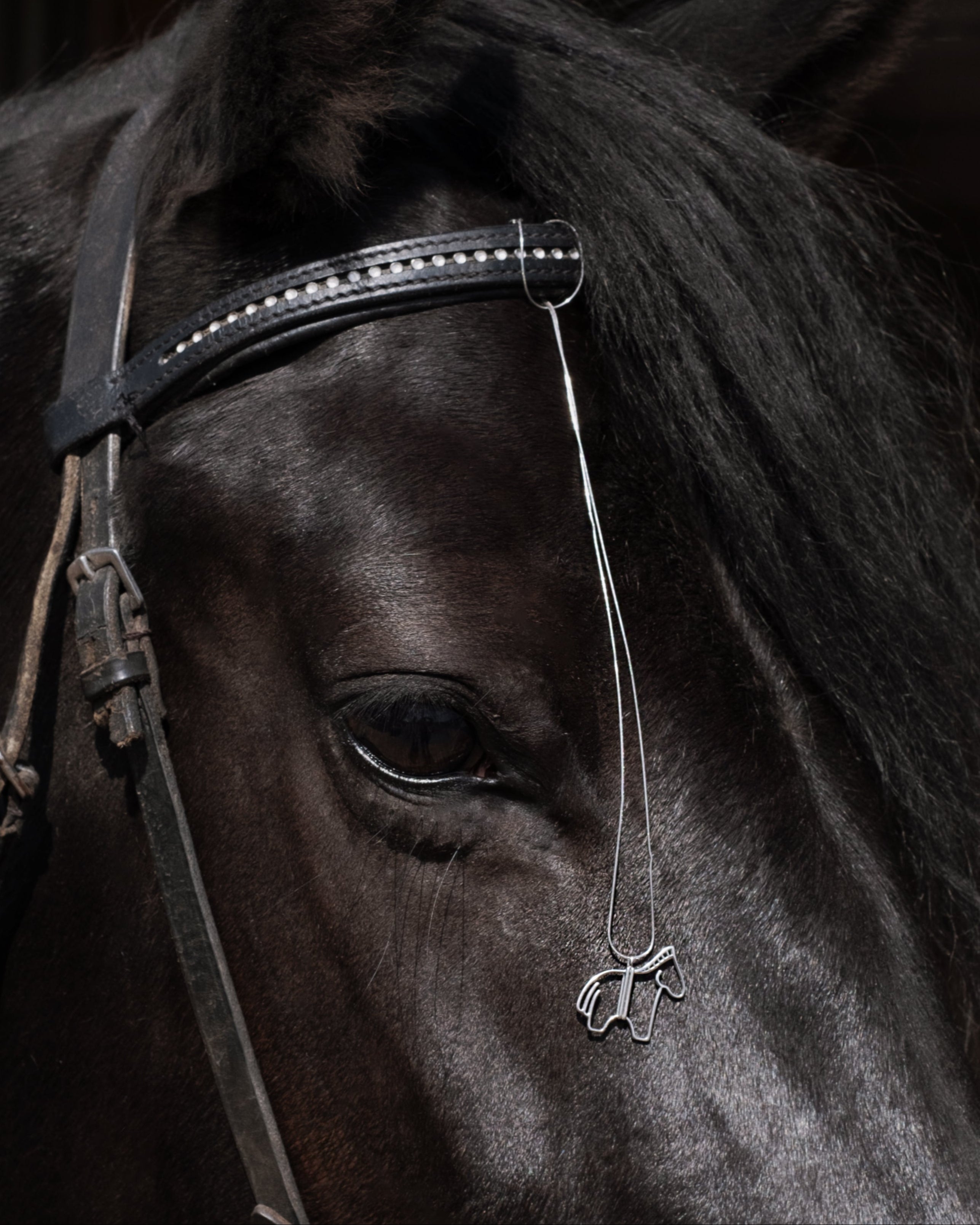 AUMI JEWELRY X BOMBOLLA Talismán de caballo